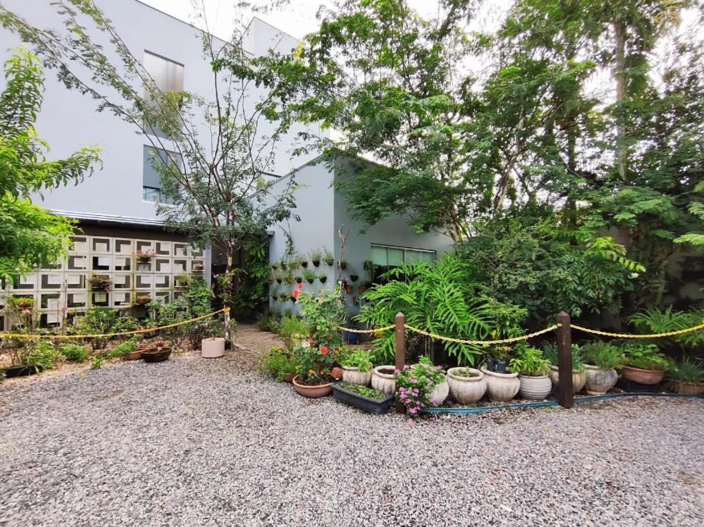 סינופ Hotel Pepita Palace מראה חיצוני תמונה