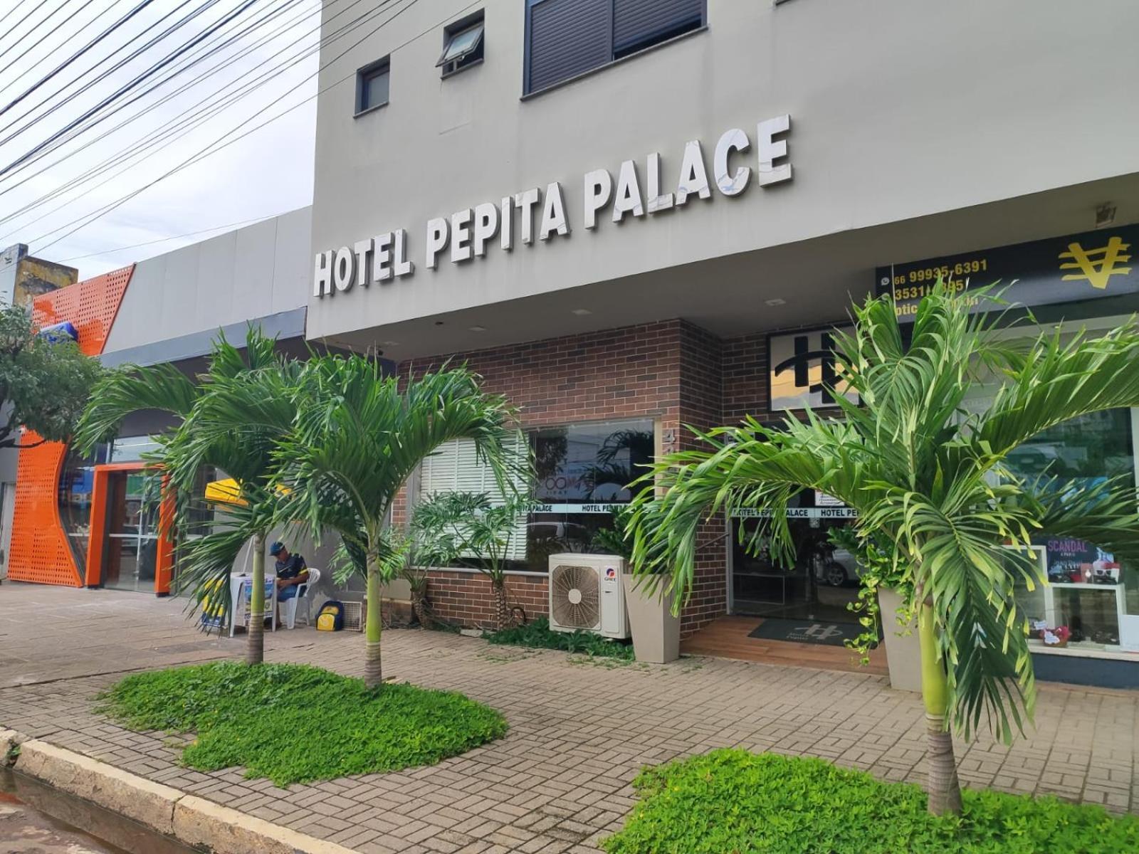 סינופ Hotel Pepita Palace מראה חיצוני תמונה